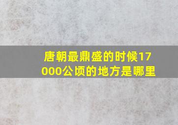 唐朝最鼎盛的时候17000公顷的地方是哪里