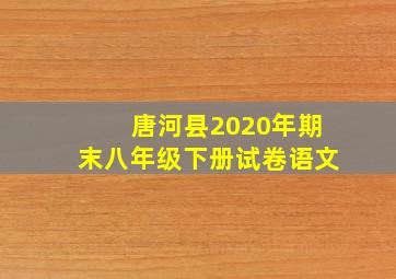 唐河县2020年期末八年级下册试卷语文