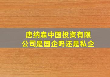 唐纳森中国投资有限公司是国企吗还是私企