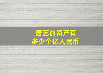 唐艺的资产有多少个亿人民币