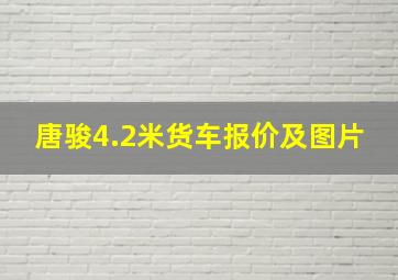 唐骏4.2米货车报价及图片