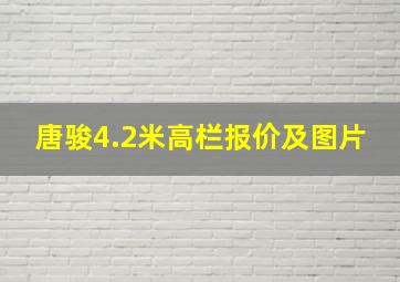 唐骏4.2米高栏报价及图片