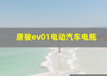 唐骏ev01电动汽车电瓶