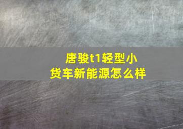 唐骏t1轻型小货车新能源怎么样