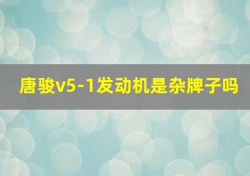 唐骏v5-1发动机是杂牌子吗