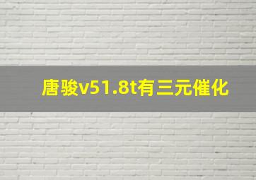 唐骏v51.8t有三元催化