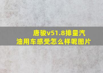 唐骏v51.8排量汽油用车感受怎么样呢图片