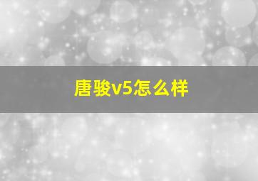 唐骏v5怎么样