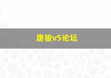 唐骏v5论坛