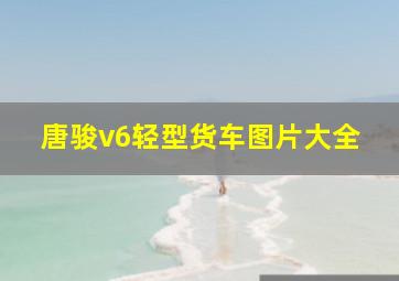 唐骏v6轻型货车图片大全