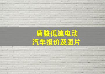 唐骏低速电动汽车报价及图片