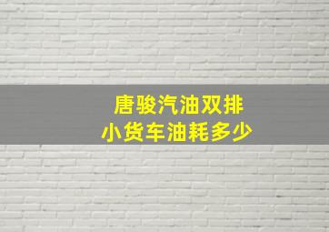 唐骏汽油双排小货车油耗多少