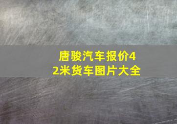 唐骏汽车报价42米货车图片大全