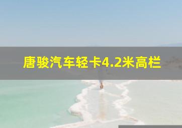 唐骏汽车轻卡4.2米高栏