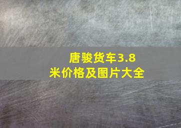 唐骏货车3.8米价格及图片大全