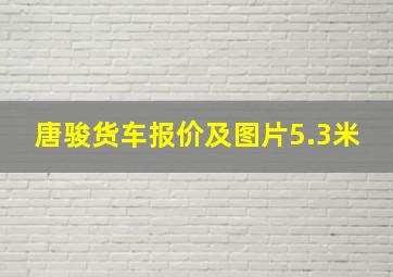 唐骏货车报价及图片5.3米