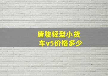 唐骏轻型小货车v5价格多少