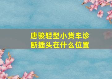 唐骏轻型小货车诊断插头在什么位置