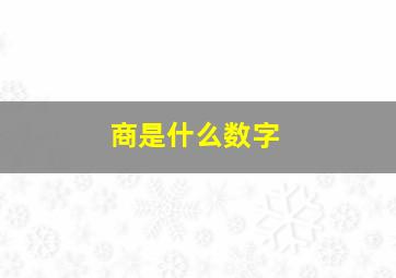 商是什么数字