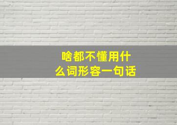 啥都不懂用什么词形容一句话