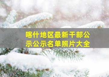 喀什地区最新干部公示公示名单照片大全