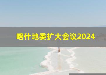 喀什地委扩大会议2024