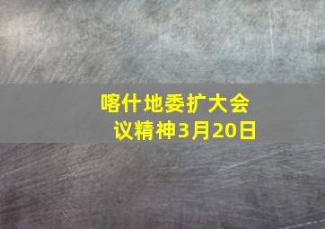 喀什地委扩大会议精神3月20日