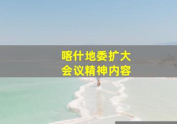 喀什地委扩大会议精神内容