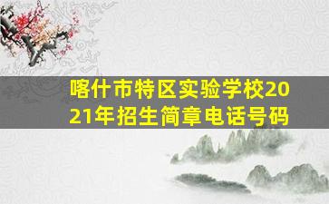 喀什市特区实验学校2021年招生简章电话号码