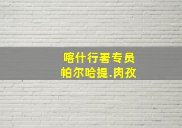 喀什行署专员帕尔哈提.肉孜