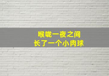 喉咙一夜之间长了一个小肉球