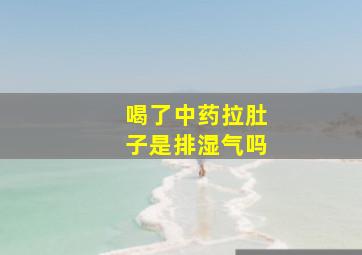 喝了中药拉肚子是排湿气吗