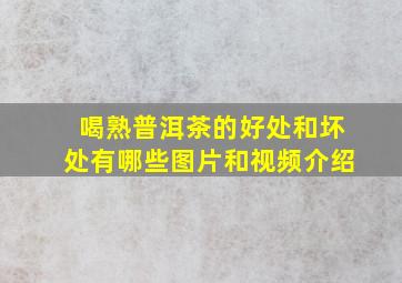 喝熟普洱茶的好处和坏处有哪些图片和视频介绍