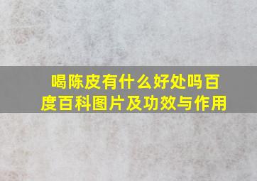 喝陈皮有什么好处吗百度百科图片及功效与作用