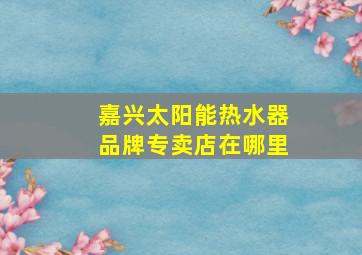 嘉兴太阳能热水器品牌专卖店在哪里