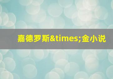 嘉德罗斯×金小说