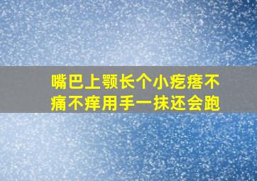 嘴巴上颚长个小疙瘩不痛不痒用手一抹还会跑