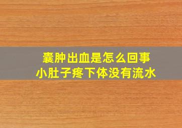 囊肿出血是怎么回事小肚子疼下体没有流水