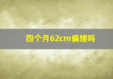 四个月62cm偏矮吗