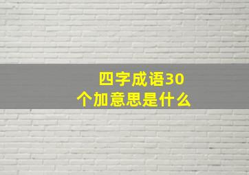 四字成语30个加意思是什么