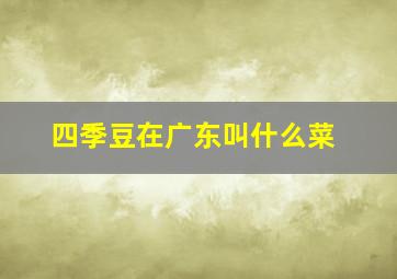 四季豆在广东叫什么菜