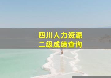 四川人力资源二级成绩查询