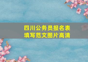 四川公务员报名表填写范文图片高清