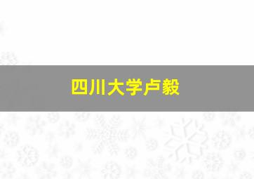 四川大学卢毅