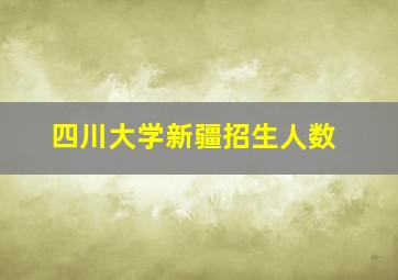 四川大学新疆招生人数