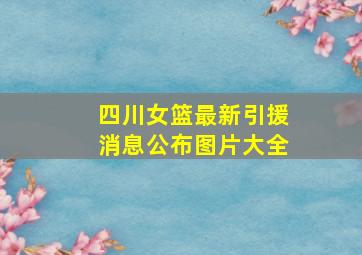 四川女篮最新引援消息公布图片大全