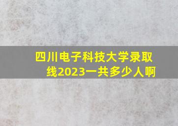 四川电子科技大学录取线2023一共多少人啊