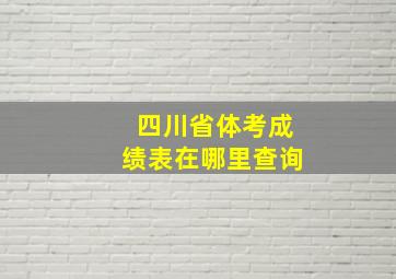 四川省体考成绩表在哪里查询