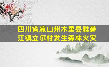 四川省凉山州木里县雅砻江镇立尔村发生森林火灾