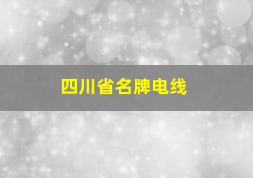 四川省名牌电线